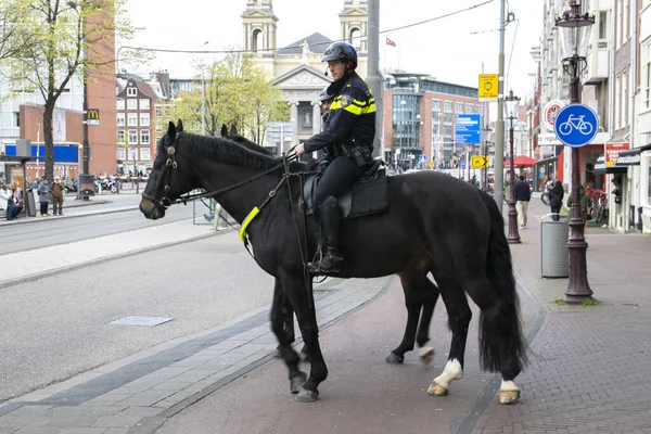 Polis ve Atlar Amsterdam Şehri 'nde devriye geziyor. Hollanda 2019.