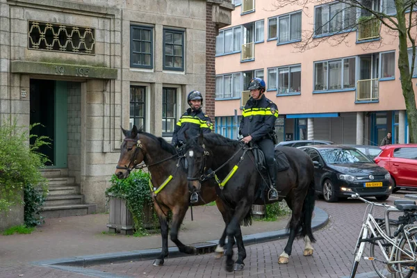 Polis ve Atlar Amsterdam Şehri 'nde devriye geziyor. Hollanda 2019.