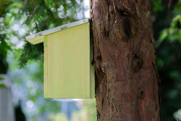 Bird House Amsterdam Holanda 2020 — Foto de Stock