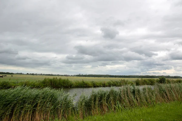 Tierras Agrícolas Alrededor Naarden Países Bajos 2020 — Foto de Stock