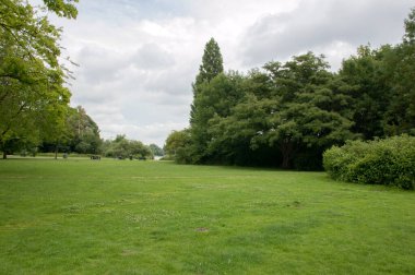 Amsterdam 'daki Flevopark' ta Yeşil Çimen Hollanda 18-6-2020