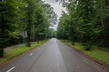 Bilthoven 'daki Berg En Bosch Sokağı, Hollanda 7-10-2020