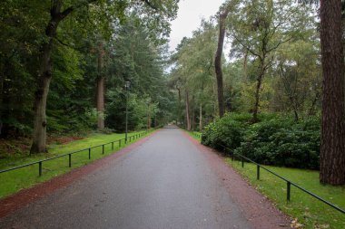 Bilthoven 'daki Berg En Bosch Sokağı, Hollanda 7-10-2020