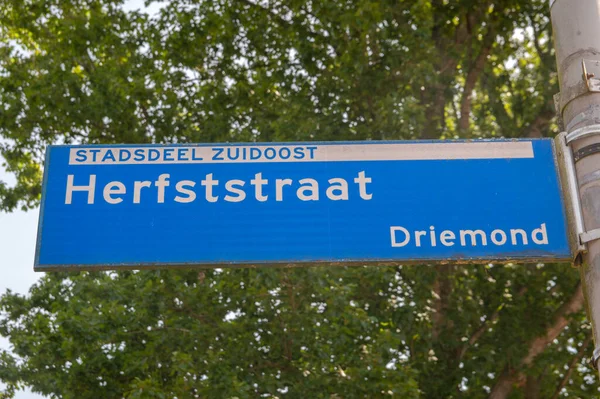 Street Sign Herfststraat Amszterdamban Hollandia 2020 — Stock Fotó