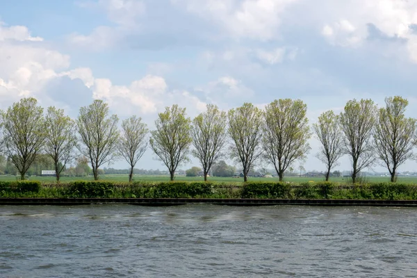 Arbres Canal Amsterdam Rijnkanaal Driemond Pays Bas 2021 — Photo