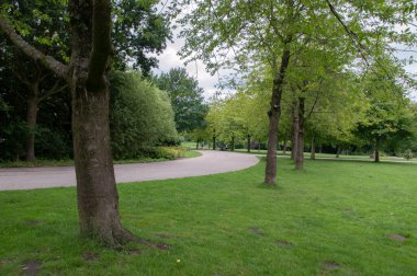 Amsterdam 'daki Flevopark' ta Yürüyüş Yolu Hollanda 18-6-2020