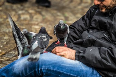 Amsterdam Baraj Meydanı 'nda Güvercin Besleyen Adam 2019 Hollanda
