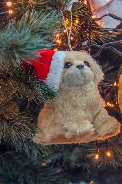 Amsterdam Noel Ağacındaki Küçük Köpek 2018 — Stok fotoğraf