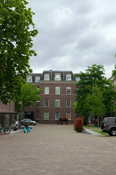 Amsterdam Daki Hermitage Müzesinin Girişi 2019 — Stok fotoğraf