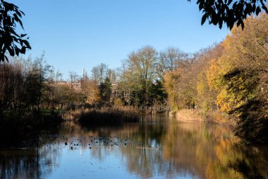 Hollanda, Amsterdam Frankendaelpark Parkı 'ndaki Gölette Mavi Gökyüzü 18-11-2020