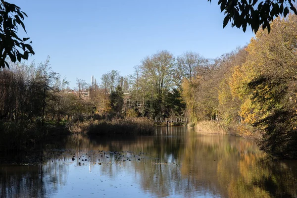 Hollanda, Amsterdam Frankendaelpark Parkı 'ndaki Gölette Mavi Gökyüzü 18-11-2020