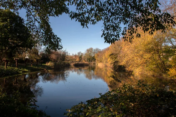 Hollanda, Amsterdam Frankendaelpark Parkı 'ndaki Gölette Mavi Gökyüzü 18-11-2020