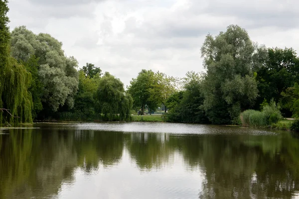 Amsterdam Daki Flevopark Parkı Nda Güzel Gölet Hollanda 2020 — Stok fotoğraf