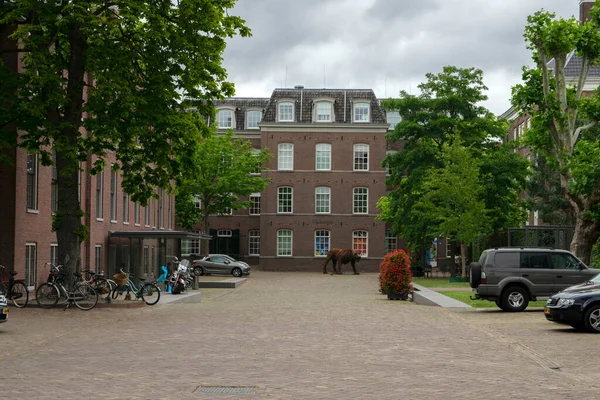 Entrance Hermitage Museum Amsterdam Netherlands 2019 — Zdjęcie stockowe