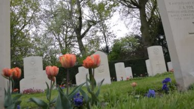 Amsterdam 'daki Nieuwe Ooster Mezarlığı' nda Ulusal Savaş Mezarları Çiçekleri 18-4-2020