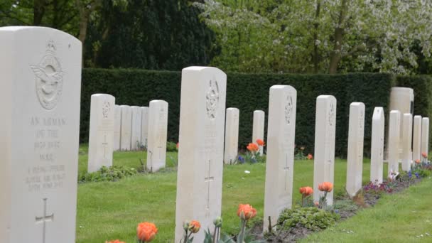 Gräber Auf Commonwealth Kriegsgräbern Auf Dem Nieuwe Ooster Friedhof Amsterdam — Stockvideo