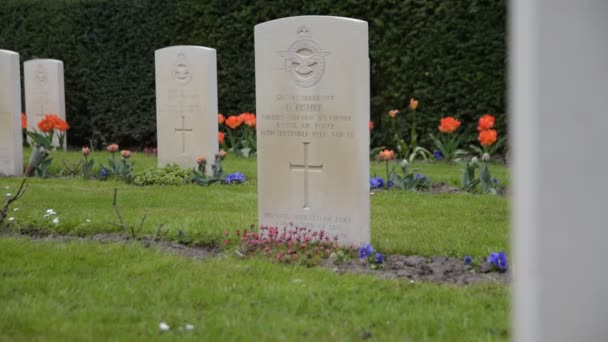 Graves Commonwealth War Graves Nieuwe Ooster Graveyard Amsterdam Netherlands 2020 — Stock Video