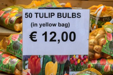 Amsterdam 'da İşaret Laleleri Satılıyor Hollanda 9-11-2021