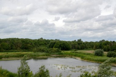 Diemen 'deki Ağaçlarla çevrili Küçük Göl Hollanda 30-6-2020
