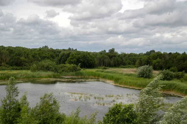 Pequeno Lago Cercado Por Árvores Diemen Países Baixos 2020 — Fotografia de Stock
