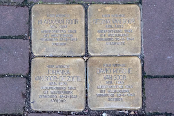 Kamień Pamięci Stolpersteina Rodziny Van Goor Amsterdamie Holandia — Zdjęcie stockowe