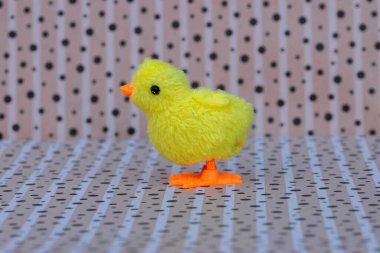 Amsterdam 'da Sahte Piliç 27-3-2022