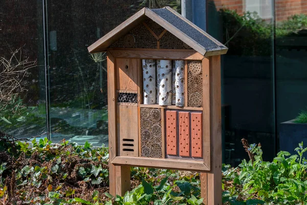 Kleines Bienen Oder Insektenhaus Amsterdam Niederlande 2022 — Stockfoto