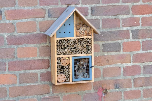 Kleines Bienen Oder Insektenhaus Amsterdam Niederlande 2022 — Stockfoto