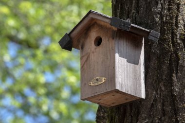 Kuş Evi Vogelbescherming Amsterdam 'da 28-6-2022