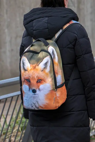 Beautiful Backpack Fox Amsterdam Netherlands 2022 — 图库照片