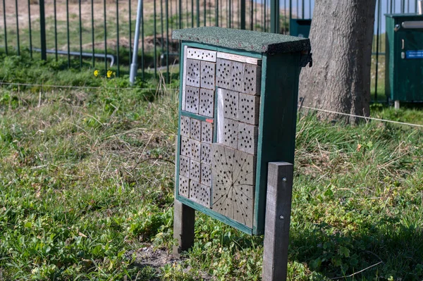 Bee Insect House Amsterdam Netherlands 2022 — Stockfoto