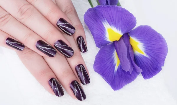 Nagels Manicure — Stockfoto