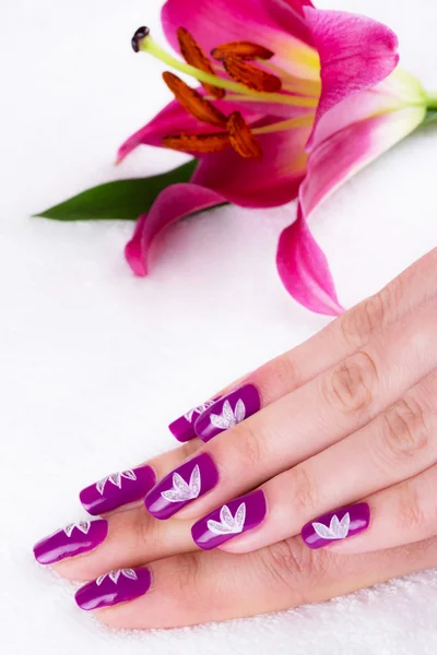 Schöne Frauenhände und Lilienblüte auf weißem Hintergrund — Stockfoto