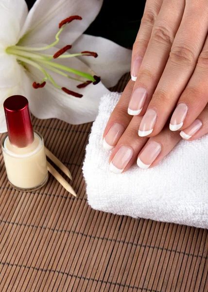 Vrouwelijke zachte handen met prachtige Franse manicure — Stockfoto