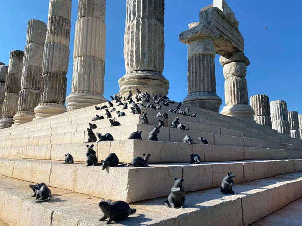 Apollon Smintheus troy canakkale