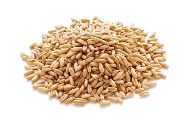 Овес зерно — стокове фото
