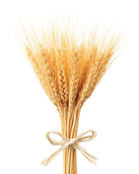 Ramo de espigas de trigo —  Fotos de Stock