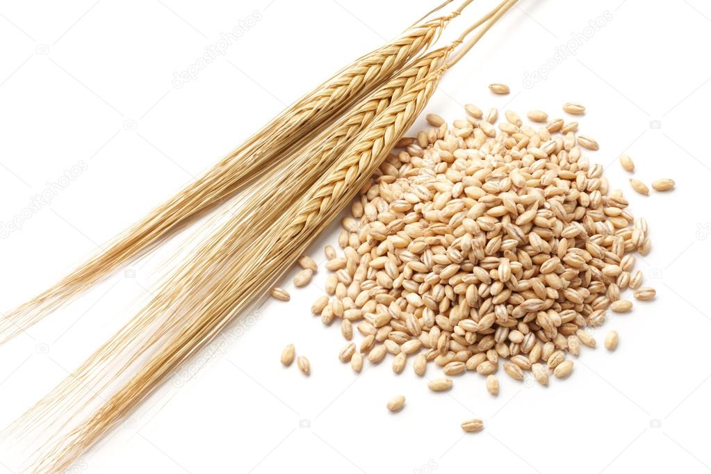 barley