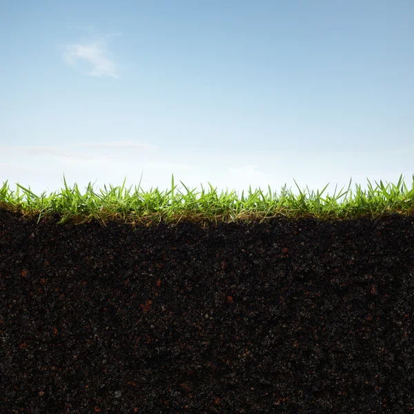 Gras en bodem — Stockfoto