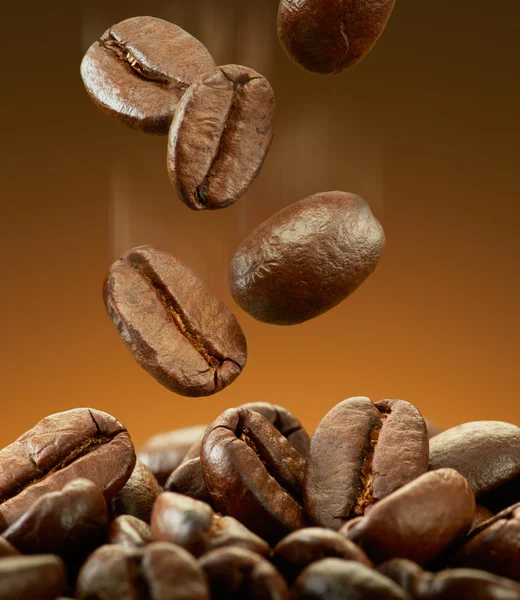 Morsen koffie bonen — Stockfoto