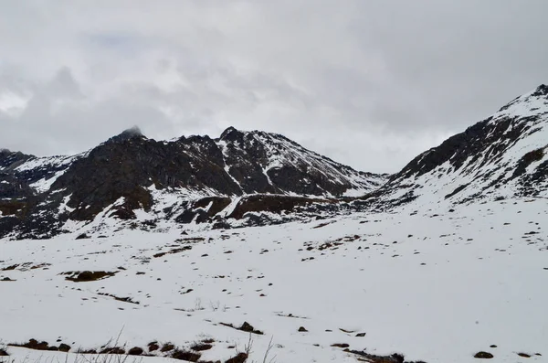 Εντυπωσιακή Θέα Ενός Χιονισμένου Βουνού Και Κάποια Βλάστηση Στην Αλάσκα — Φωτογραφία Αρχείου