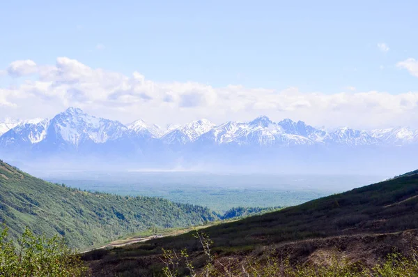 Spectaculair Uitzicht Een Besneeuwde Berg Wat Vegetatie Denali National Park — Stockfoto