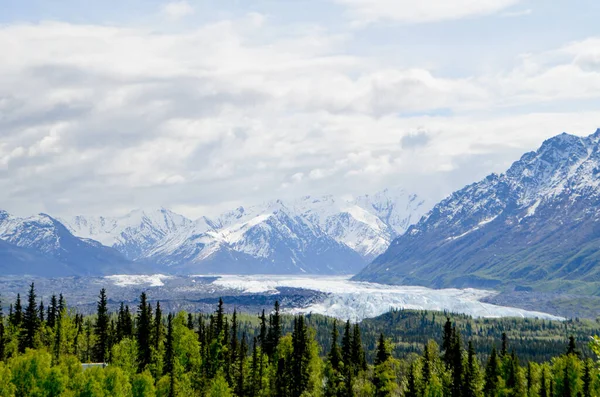Vista Spettacolare Ghiacciaio Montagna Innevato Denali National Park Alaska Usa — Foto Stock