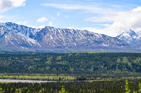 Vista Espetacular Uma Geleira Montanha Nevada Denali National Park Alaska — Fotografia de Stock