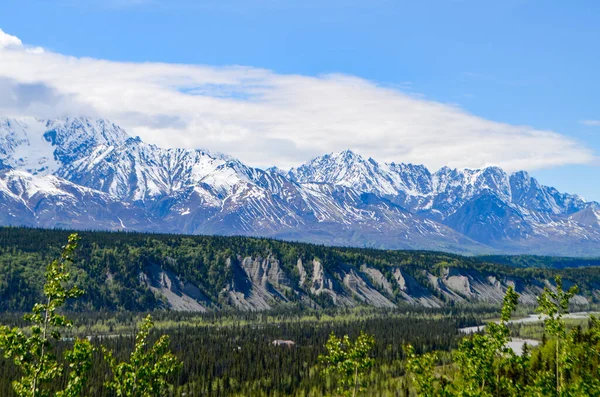 Spektakularny Widok Lodowiec Denali National Park Alaska Usa Stany Zjednoczone — Zdjęcie stockowe