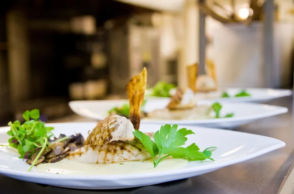 Chicken dish — Stock Photo, Image