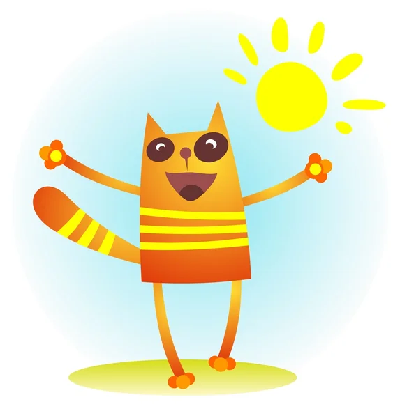 Güneş ile kedi — Stok fotoğraf