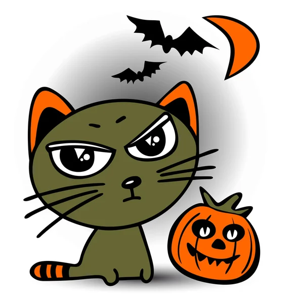 Gatto di Halloween — Foto Stock