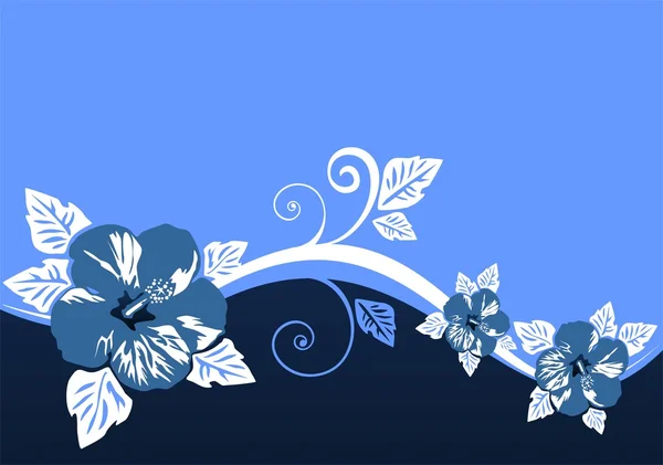 푸른 꽃무늬 — 스톡 사진