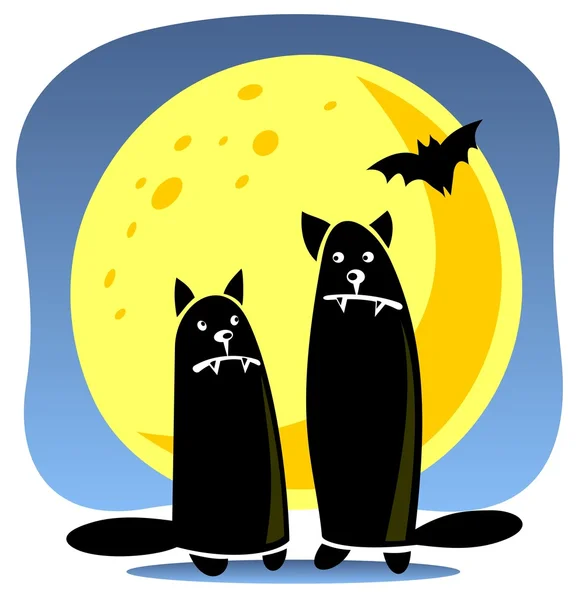 Black cats and moon — Stock Photo, Image